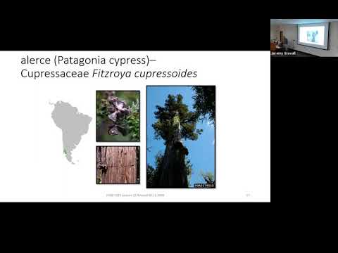 Trees of South America - SFA Dendrology Lecture (FORS 2319)