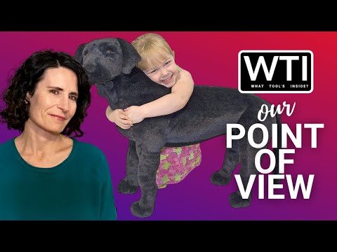 Melissa & Doug Giant Black Lab Toy - WTI product video review