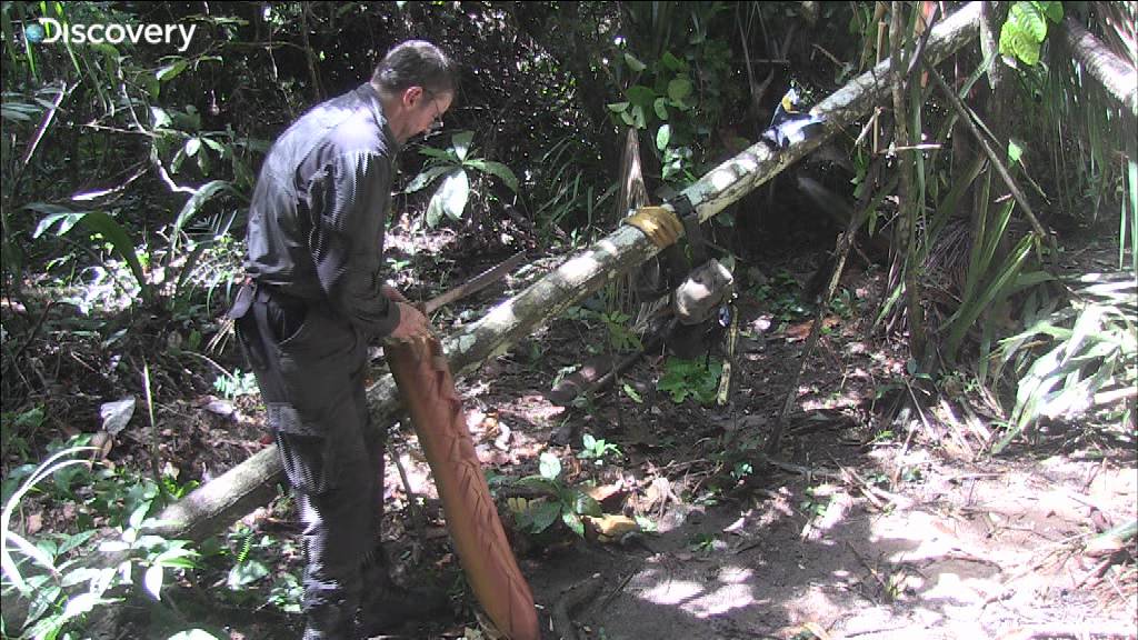 Alone in the Wild - Joe stumbling on palm tree