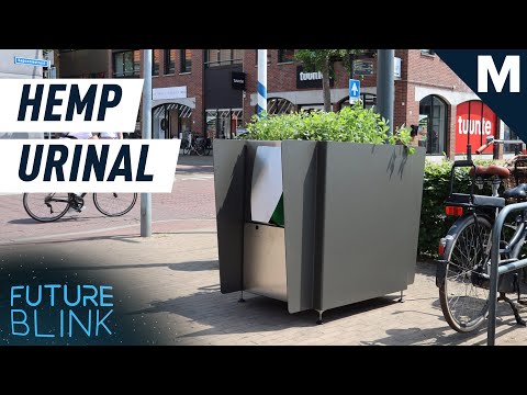 Amsterdam Installs Hemp Urinals to Stop 'Wild Peeing' | Future Blink