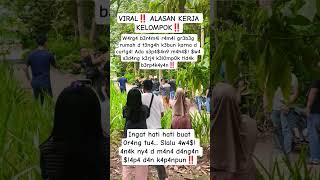 Download lagu reasons for group work mp3