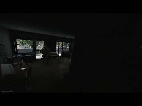 Escape From Tarkov | The Tacticool spray