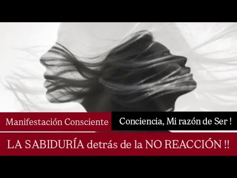 NO REACCIONES ‼️ A NINGÚN ESTIMULO NEGATIVO -  MANIFESTACIÓN Y DISCIPLINA CREENCIA LEY ESPIRITUAL ‼️