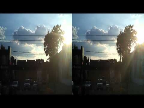 Visitors To The Cineforum