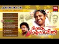 Hindu Devotional Songs Malayalam Amme Amruthavarshini Amritanandamayi Bhajans Jukebox