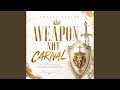 Weapon Not Carnal