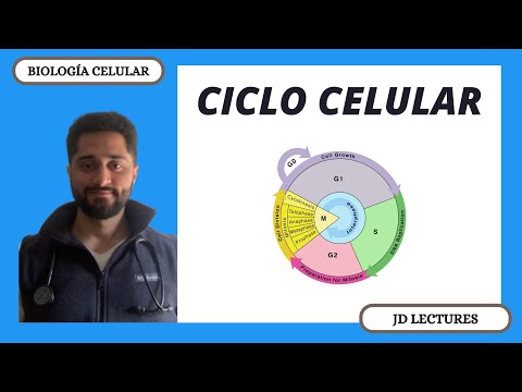 CICLO CELULAR | BIOLOGÍA CELULAR