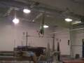 Stephani Canizaro Level 10 Pre Elite Gymnast