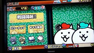 【ソラノチャンネル】二人でにゃんこ大戦争