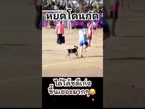 คลิปเบาสมองกันนิดนึงครับ