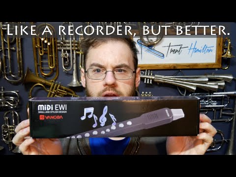 What the faff is this thing? The Vangoa EWI