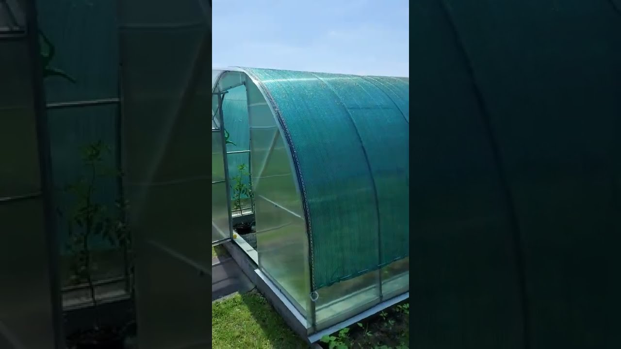 szklarnia - siatka - mata cieniująca