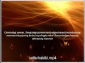 Yalla Habibi lyrics- Feruza Jumaniyozova 