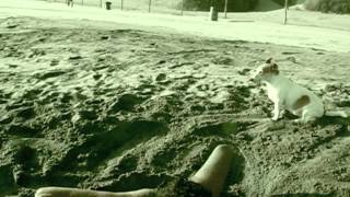 marine girls - sunshine blue