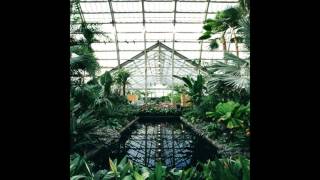 jinsang - egyptian pools