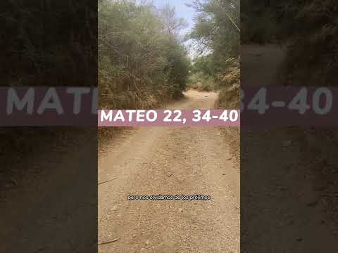 🙏 Reflexion del EVANGELIO según SAN MATEO 22, 34-40