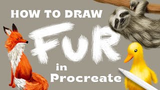 How to Draw Fur in Procreate + FREE BRUSHES (New Class on Skillshare!)