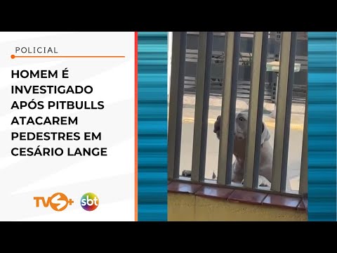 Homem é investigado após pitbulls atacarem pedestres em Cesário Lange | TVS+ SBT