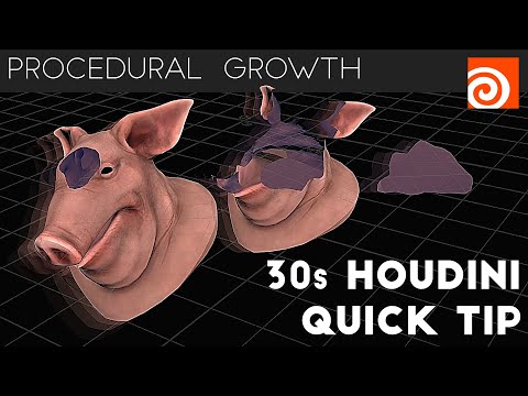 Houdini 30s Quick Tip #1 - Procedural Growth