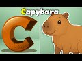 Wild Animals Alphabet ABC Phonics Song Spectacular Lara