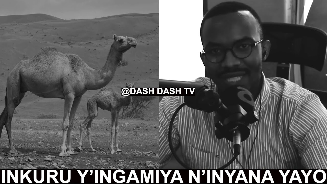 ISOMO RY'UMUNSI: NTUZONGERA KWITWA UMUHOMBYI NUMARA KUMVA IYI NKURU