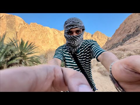 مصطفي النسر - كيلو بامية | MOSTAFA ELNESR - KILO BAMYA (Official Music Video)