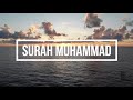 Surah Muhammad | Beautiful Recitation by Qari Saad Al Ghamdi