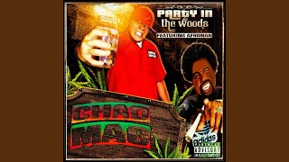 Party in the Woods (feat. Afroman)
