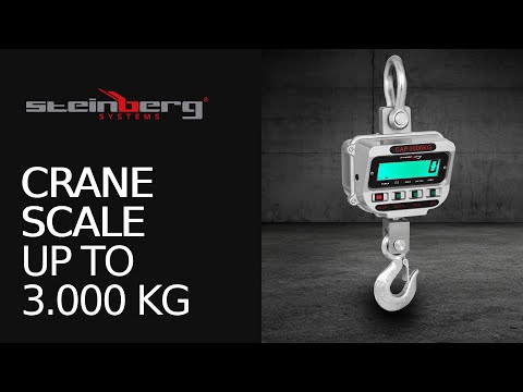 video - Crane Scale - 3 t / 0.5 kg - LCD