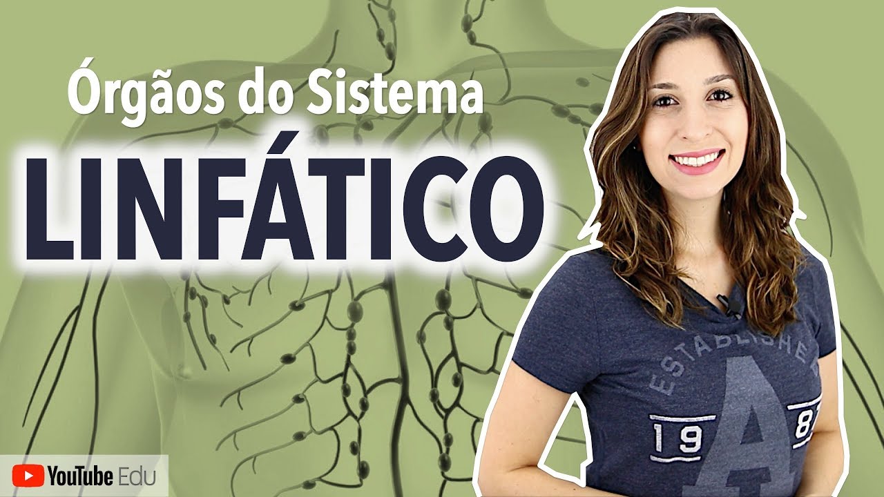 Órgãos do Sistema Linfático 4/4 | Anatomia e etc