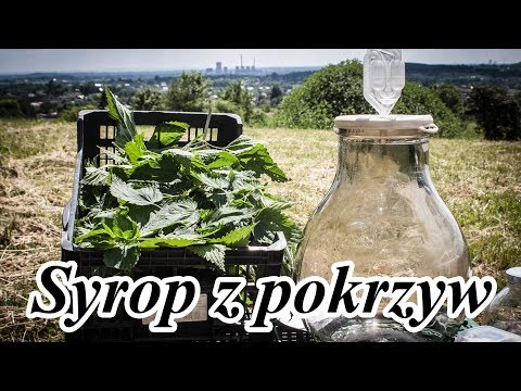 Niektóre potencja po 50 latach Żeń-szeń koreański i potencji