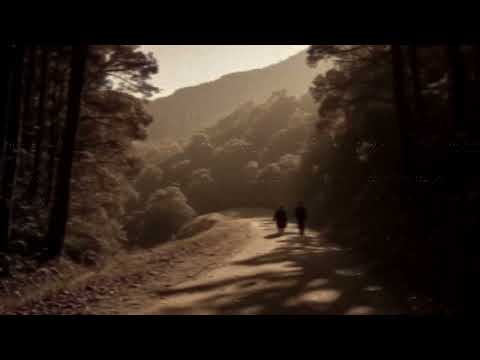 (1885, Santa Catarina) O Mistério Sombrio dos Irmãos que Desapareceram Durante a Expedição—Ninguém..