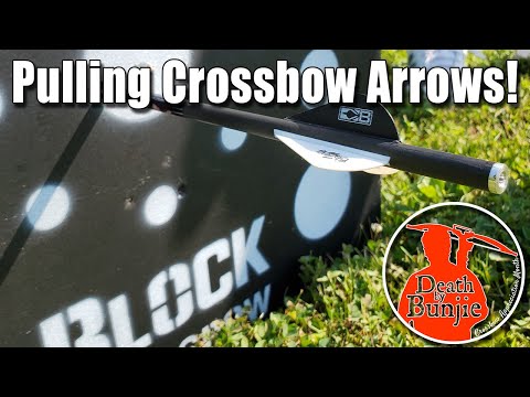 Pulling CROSSBOW Arrows from My New BLOCK TARGET!