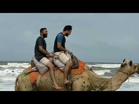 Camel ride at Sernabatim Beach, Goa. Wait for Unexpected move by Camel. #goa #camelride #beachvibes.