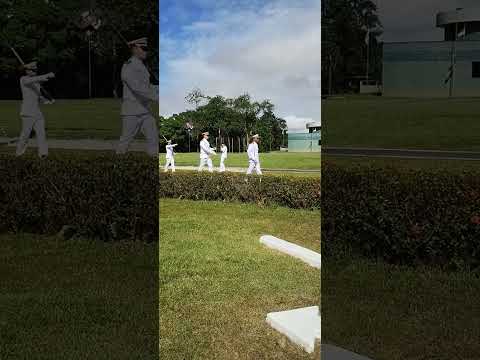 O HINO MAIS LINDO DO MUNDO - Cisne Branco MARINHA MERCANTE 2023