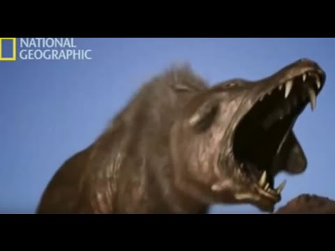 download lagu mp3 mp4 Jabali Gigante Prehistorico, download lagu Jabali Gigante Prehistorico gratis, unduh video klip Jabali Gigante Prehistorico