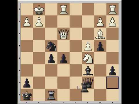 Absolutely Fantastic Chess Game  Fischer vs Tal