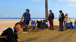 Tensions Flare: Homeless Man Confronts Police during Encampment Clean Up of Venice Beach