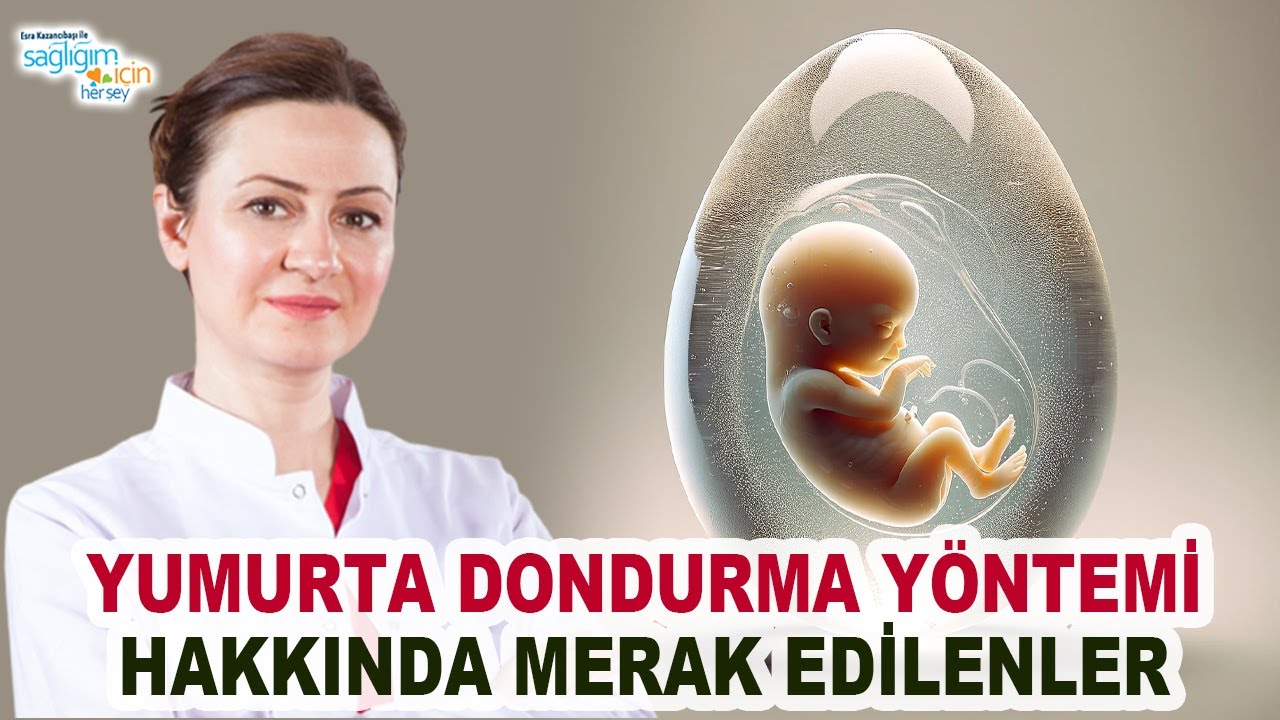 Yumurta Dondurma Yöntemi Hakkında Merak Edilenler