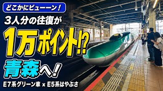 【どこかにビューーン！】3人分の往復が1万ポイント！高崎から青森へ｜E7系グリーン車＆はやぶさ
