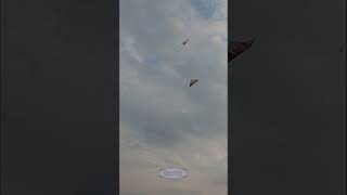 Download lagu Adu layangan... 551 #shorts mp3