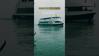 अलकनंदा cruise वाराणसी,ek bar वाराणसी जरूर आइए #shortfeeds #travelvlog #shorts #varanasi