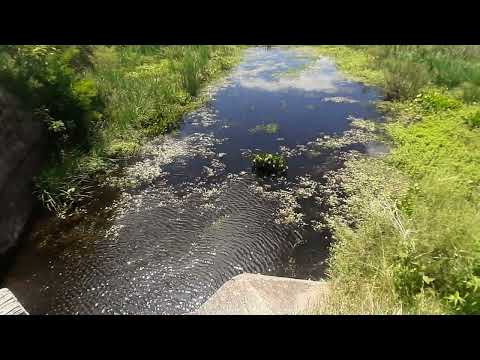 Represa de Nico Perez #florida  #uruguay #pesca #fishing #aparejos #reel