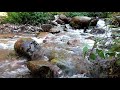 Babbling Brook - Relaxing piano music for study, focus, creativity, meditation, sleep, 3 hrs