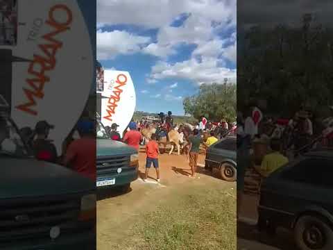 calvagada na lagoa dos sacos dos bois municipio de caturama / bahia