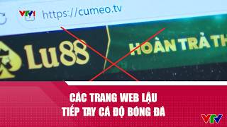 Các trang web lậu tiếp tay cá độ bóng đá | VTV24