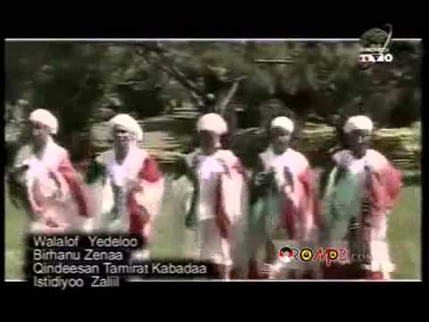 Bishiriya Borisha - Danuu [Oromo Music]