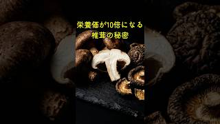 栄養価が10倍になる椎茸の秘密  #健康 #健康習慣 #栄養 #食材 #ヘルシー #健康の食卓
