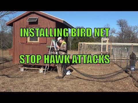 YouTube video about: How to install bird netting?