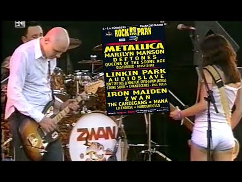 Zwan - Nürnberg 07.06.2003 "Rock im Park" (TV)